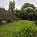 strip of grass along garden fence