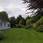 large garden with tall trees and hedges