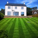 Patterned grass field