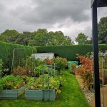 flower pots around garden with different flowers