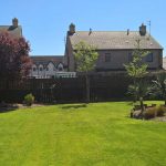 Freshly cut grass in a garden designed by SWL Gardening & Landscaping