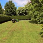 Large garden with tall hedges maintained by SWL Gardening & Landscaping